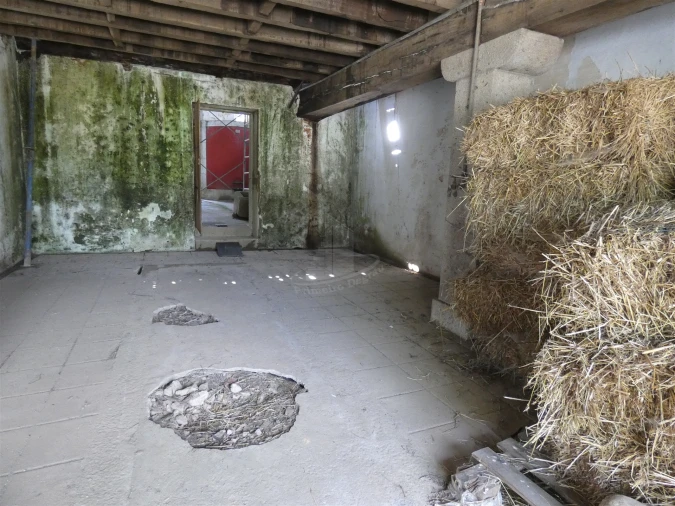 Quinta T0 para Venda em Geraz do Lima (Santa Maria, Santa Leocádia, Moreira), Deão Foto 146