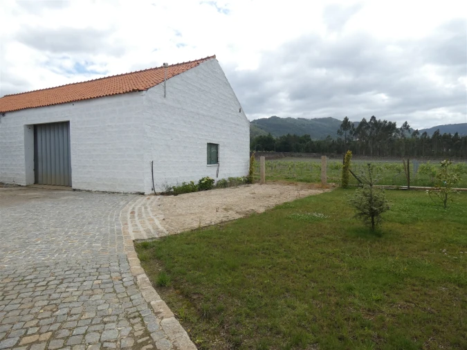 Quinta T0 para Venda em Geraz do Lima (Santa Maria, Santa Leocádia, Moreira), Deão Foto 219