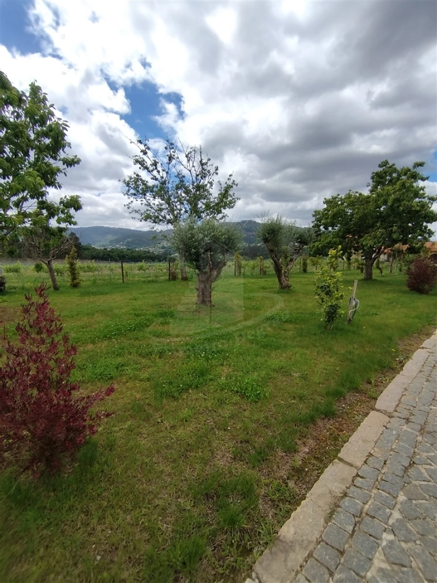 Quinta T0 para Venda em Geraz do Lima (Santa Maria, Santa Leocádia, Moreira), Deão Foto 48