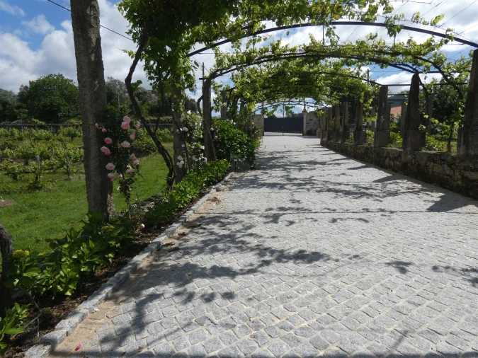 Quinta T0 para Venda em Geraz do Lima (Santa Maria, Santa Leocádia, Moreira), Deão Foto 193