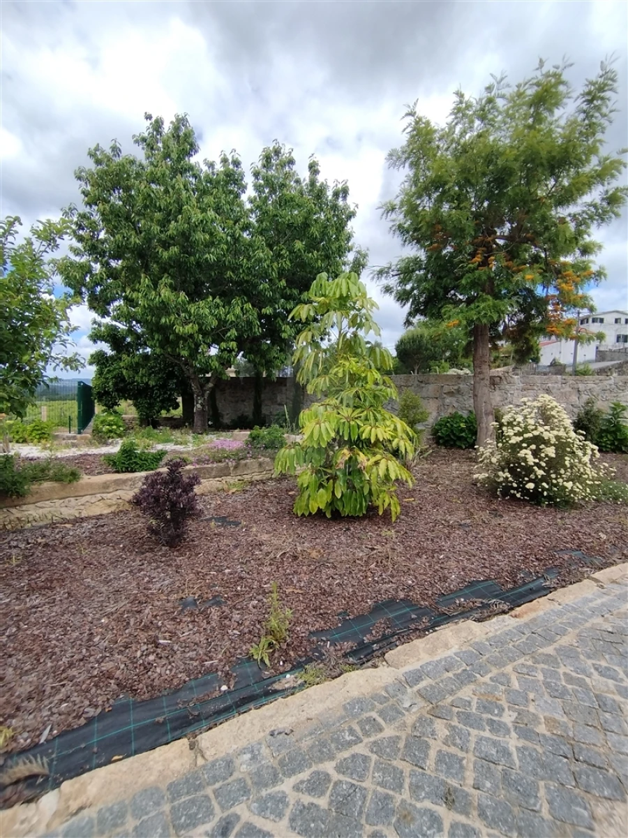 Quinta T0 para Venda em Geraz do Lima (Santa Maria, Santa Leocádia, Moreira), Deão Foto 78