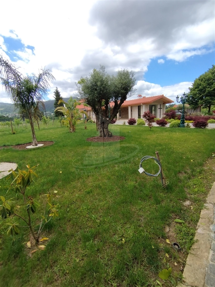 Quinta T0 para Venda em Geraz do Lima (Santa Maria, Santa Leocádia, Moreira), Deão Foto 50