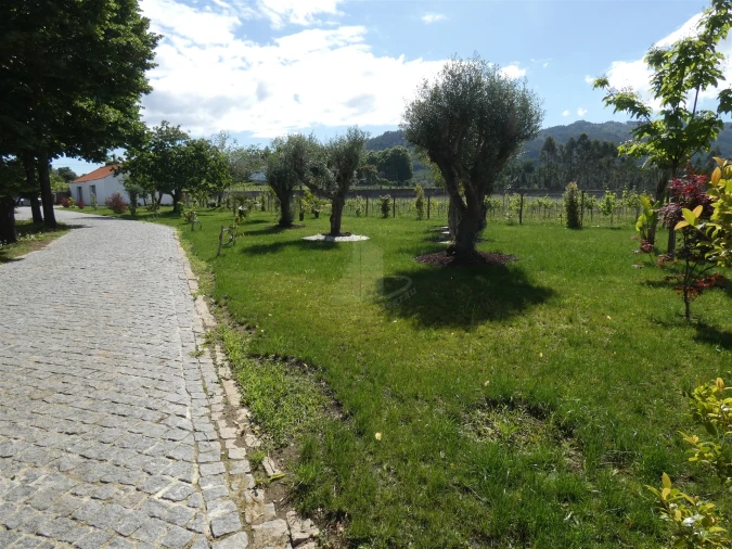 Quinta T0 para Venda em Geraz do Lima (Santa Maria, Santa Leocádia, Moreira), Deão Foto 161