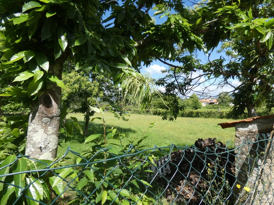 Quinta T0 para Venda em Geraz do Lima (Santa Maria, Santa Leocádia, Moreira), Deão Foto 203