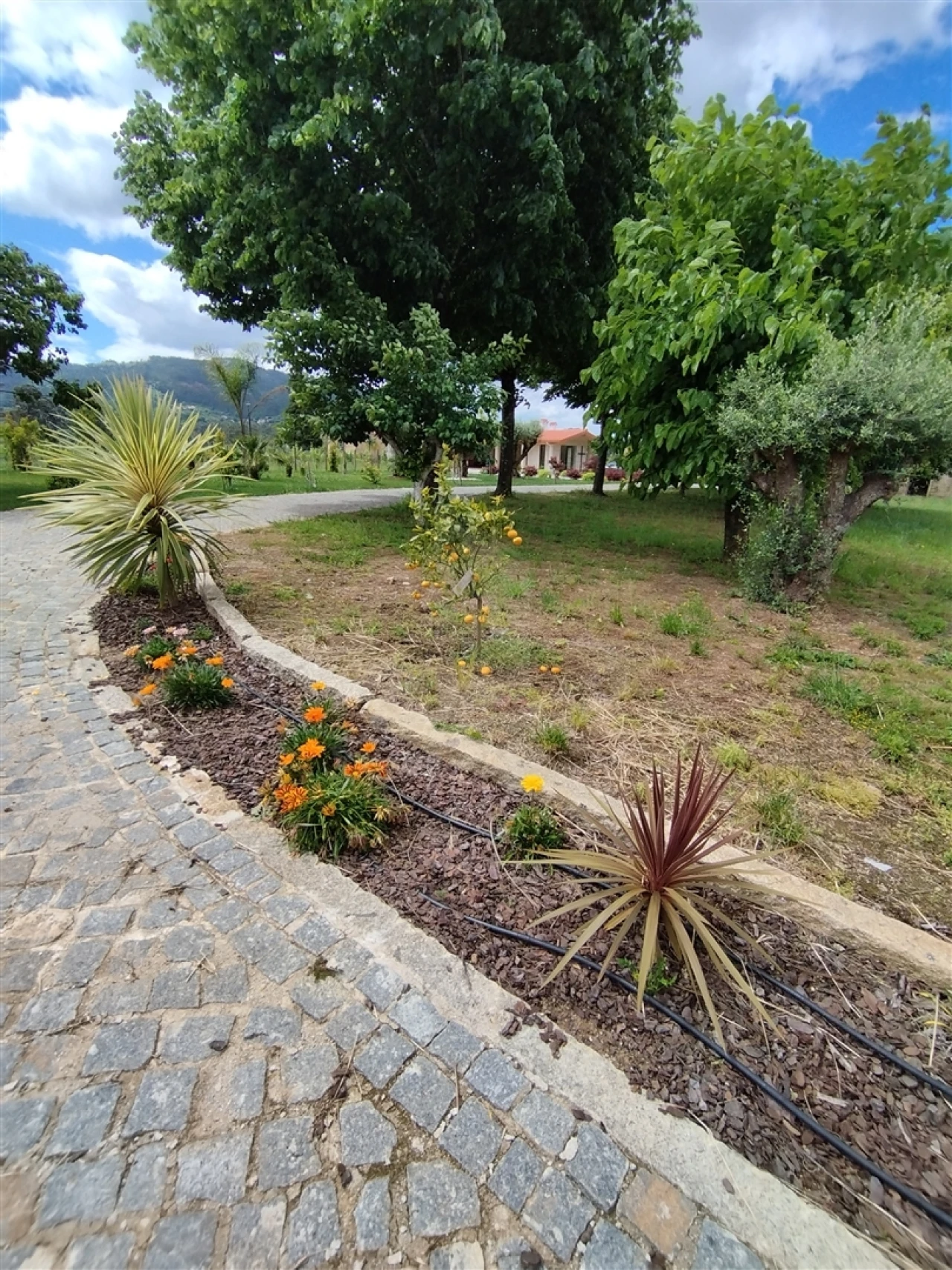 Quinta T0 para Venda em Geraz do Lima (Santa Maria, Santa Leocádia, Moreira), Deão Foto 81