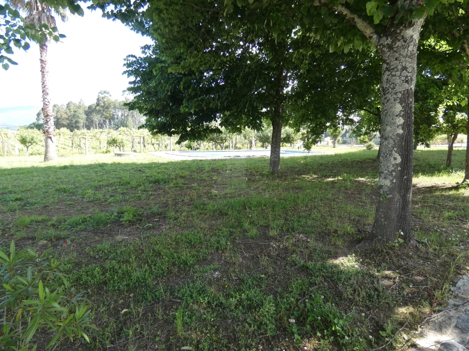 Quinta T0 para Venda em Geraz do Lima (Santa Maria, Santa Leocádia, Moreira), Deão Foto 99