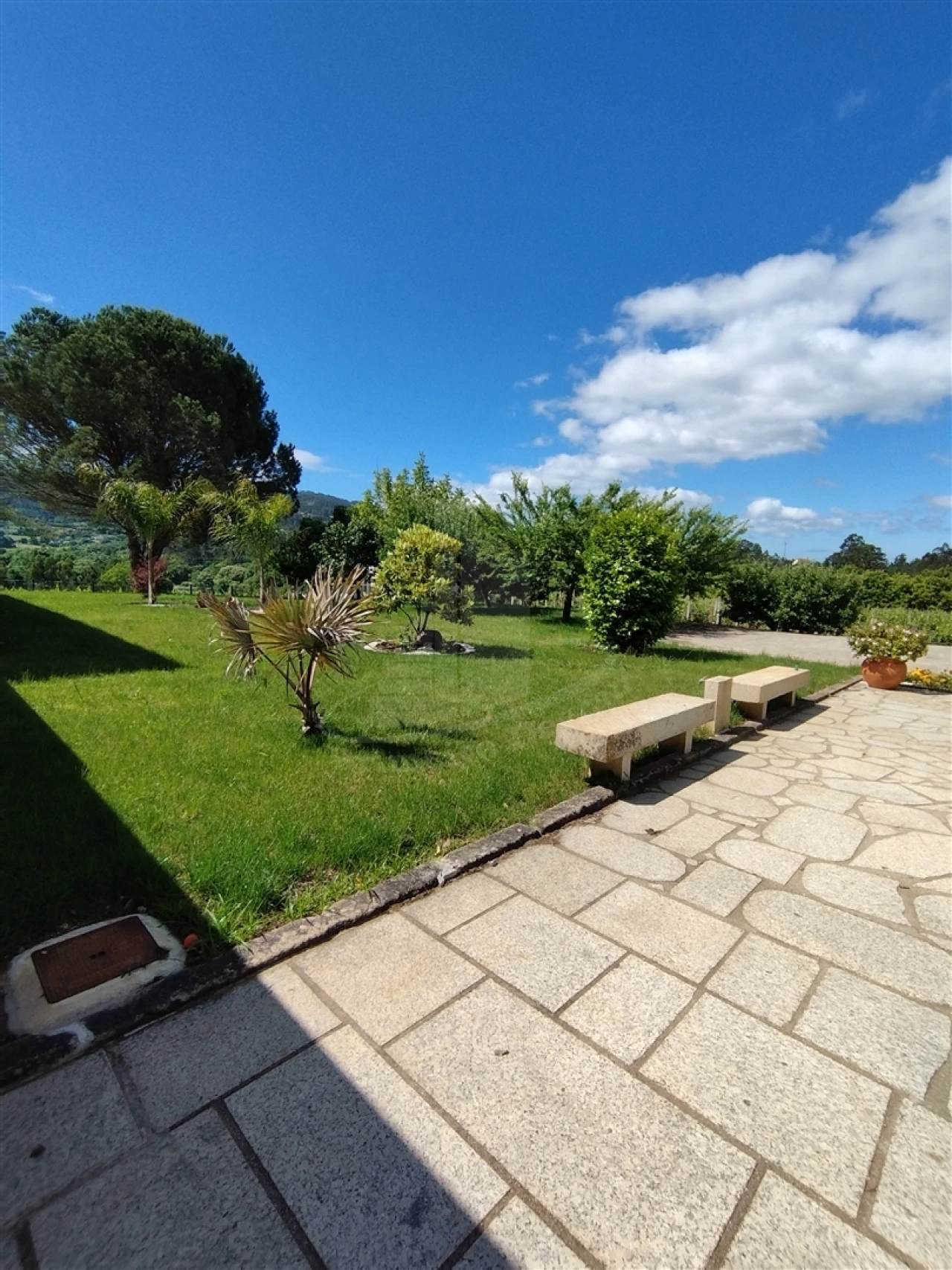 Quinta T0 para Venda em Geraz do Lima (Santa Maria, Santa Leocádia, Moreira), Deão Foto 47