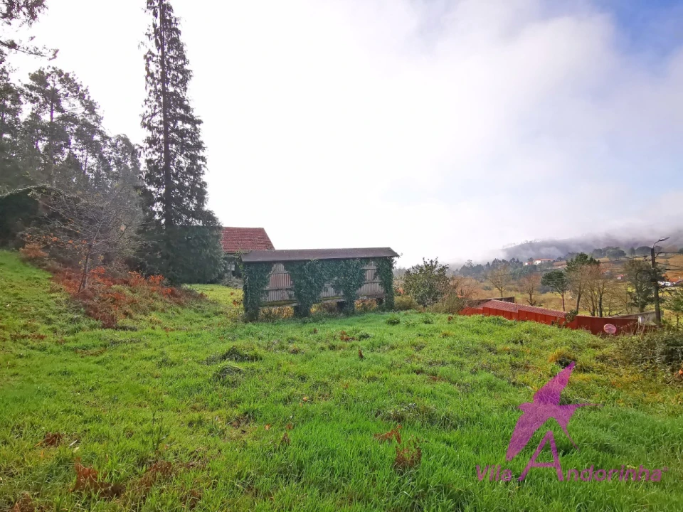 Terreno para Venda em Mentrestido Foto 12
