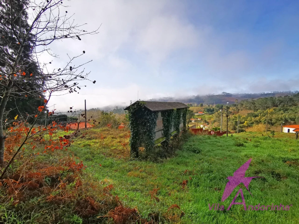 Terreno para Venda em Mentrestido Foto 14