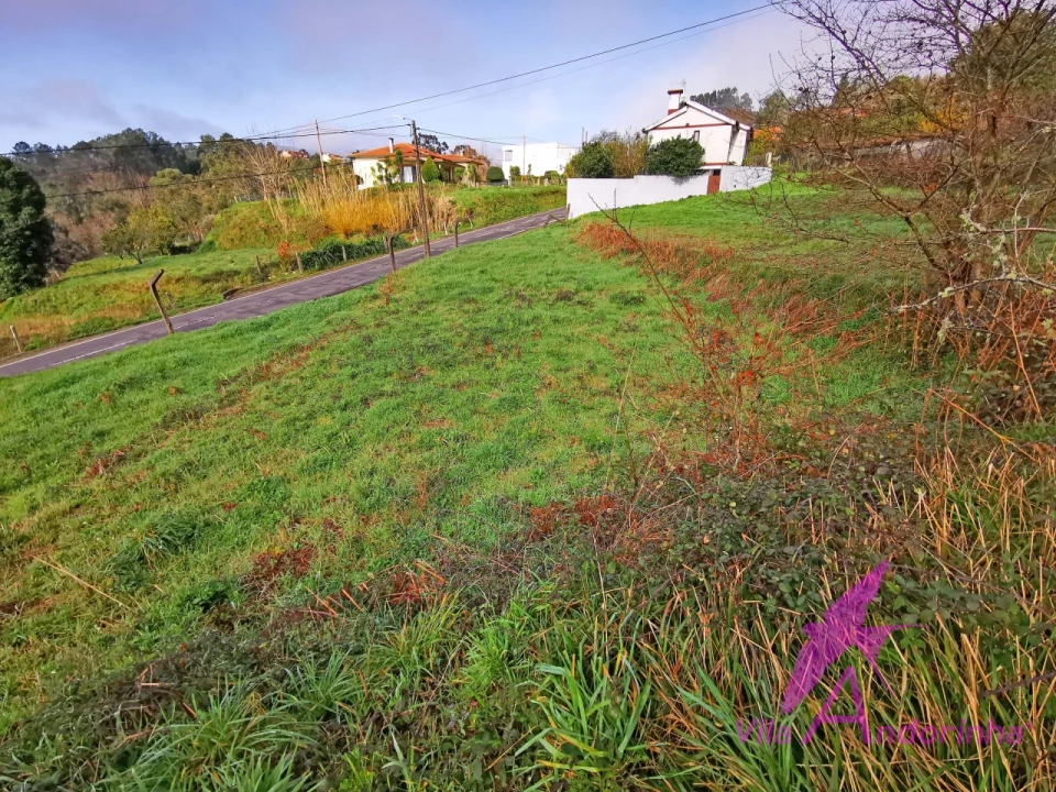 Terreno para Venda em Mentrestido Foto 21