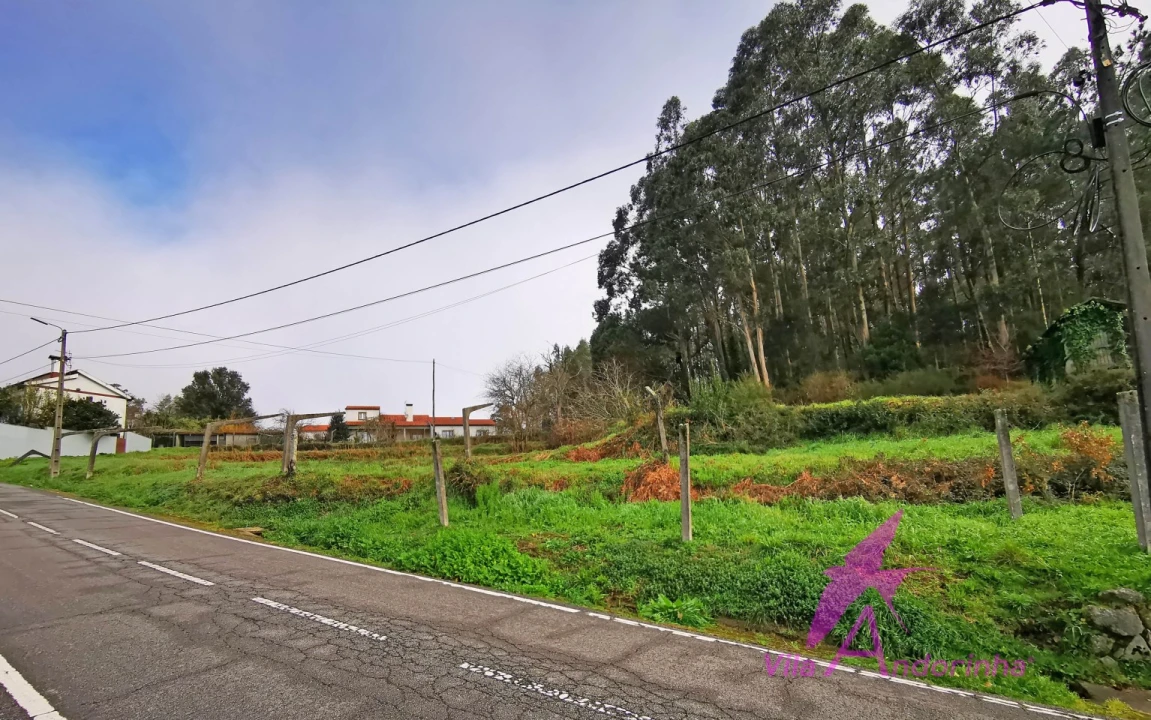 Terreno para Venda em Mentrestido Foto 22