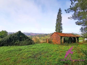 Terreno para Venda em Mentrestido