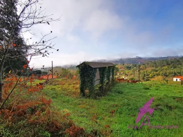 Terreno para Venda em Mentrestido