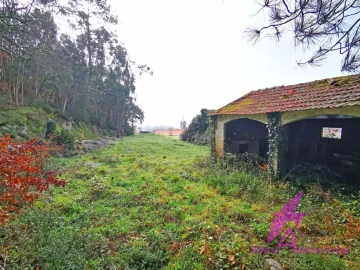 Terreno para Venda em Mentrestido