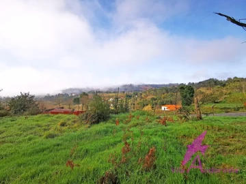 Terreno para Venda em Mentrestido