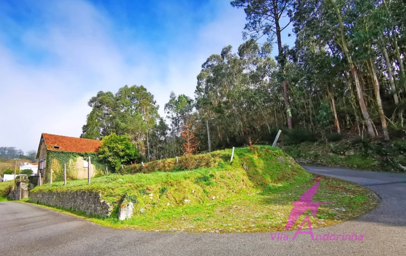 Terreno para Venda em Mentrestido Foto 5