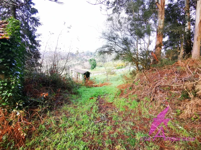Terreno para Venda em Mentrestido Foto 17