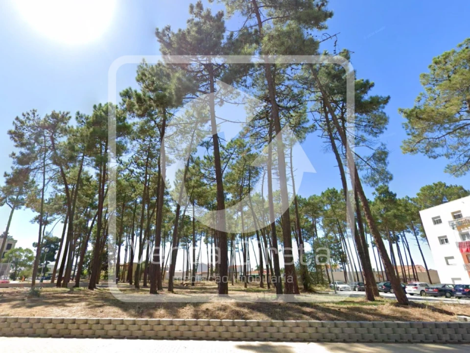 Terreno para Venda em Azeitão (São Lourenço e São Simão) Foto 11