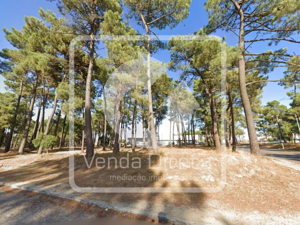Terreno para Venda em Azeitão (São Lourenço e São Simão) Foto 13