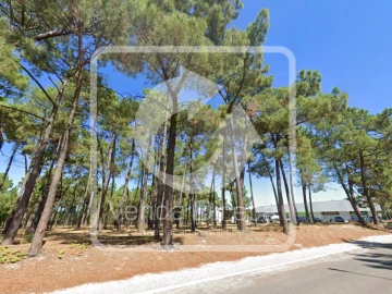 Terreno para Venda em Azeitão (São Lourenço e São Simão)