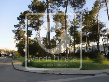Terreno para Venda em Azeitão (São Lourenço e São Simão)
