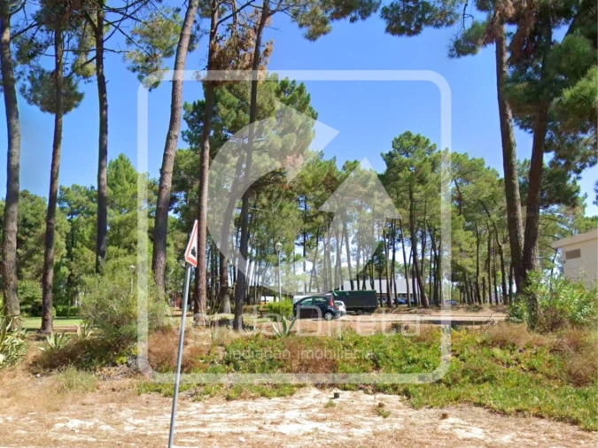 Terreno para Venda em Azeitão (São Lourenço e São Simão) Foto 5