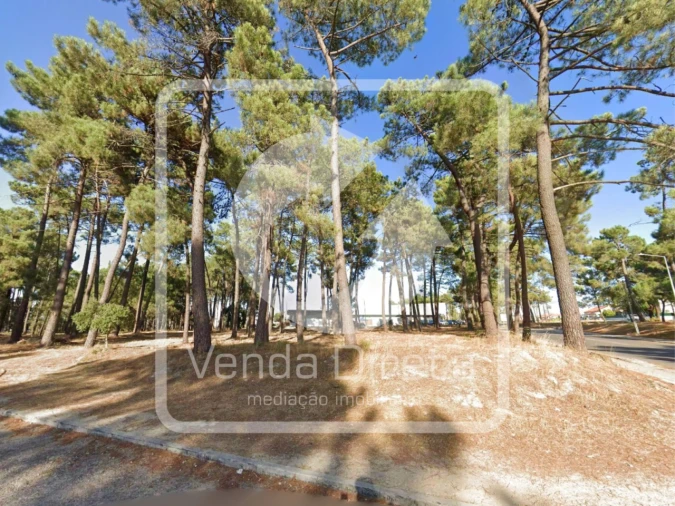 Terreno para Venda em Azeitão (São Lourenço e São Simão) Foto 13