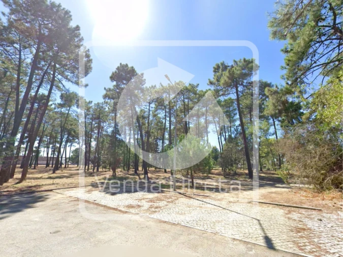 Terreno para Venda em Azeitão (São Lourenço e São Simão) Foto 14
