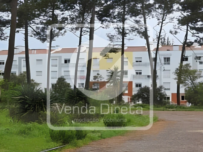 Terreno para Venda em Azeitão (São Lourenço e São Simão) Foto 15