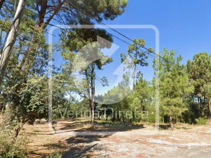 Terreno para Venda em Azeitão (São Lourenço e São Simão) Foto 21