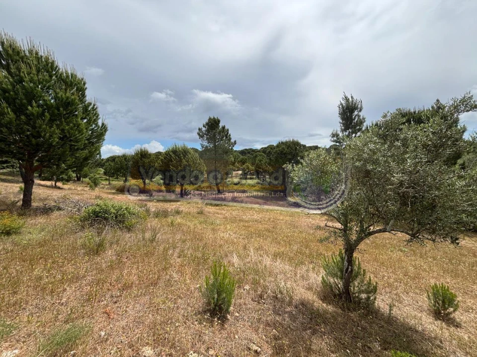 Terreno para Venda em Mora Foto 6