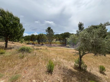 Terreno para Venda em Mora