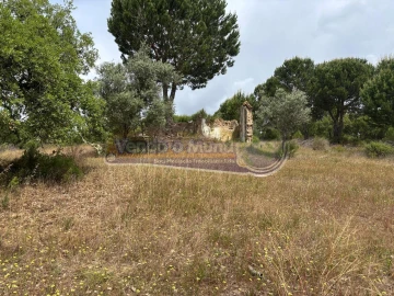 Terreno para Venda em Mora