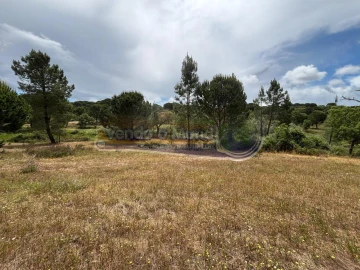 Terreno para Venda em Mora