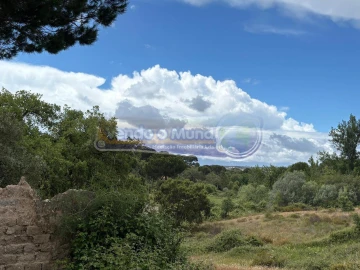 Terreno para Venda em Mora