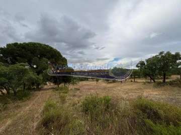 Terreno para Venda em Mora