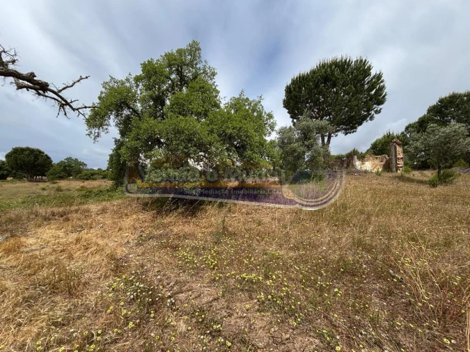 Terreno para Venda em Mora Foto 7