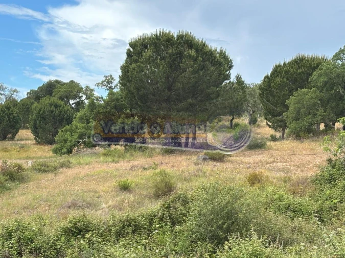 Terreno para Venda em Mora Foto 9