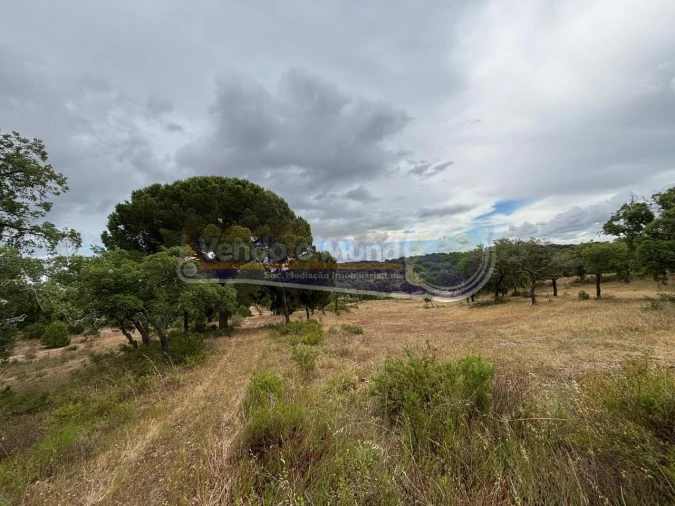Terreno para Venda em Mora Foto 11