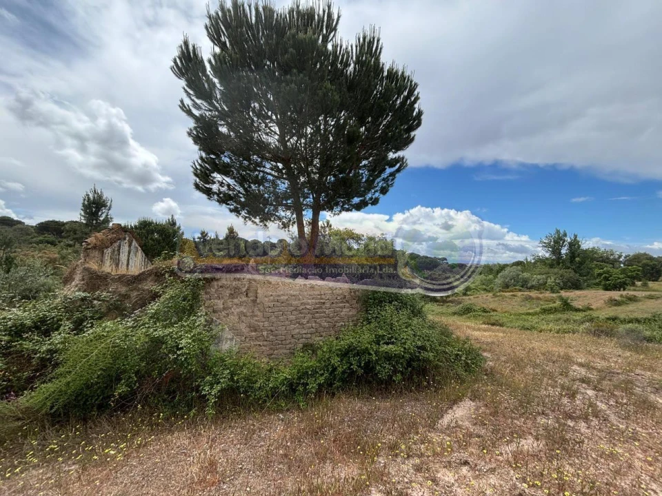 Terreno para Venda em Mora Foto 4