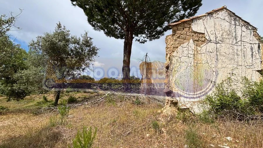 Terreno para Venda em Mora