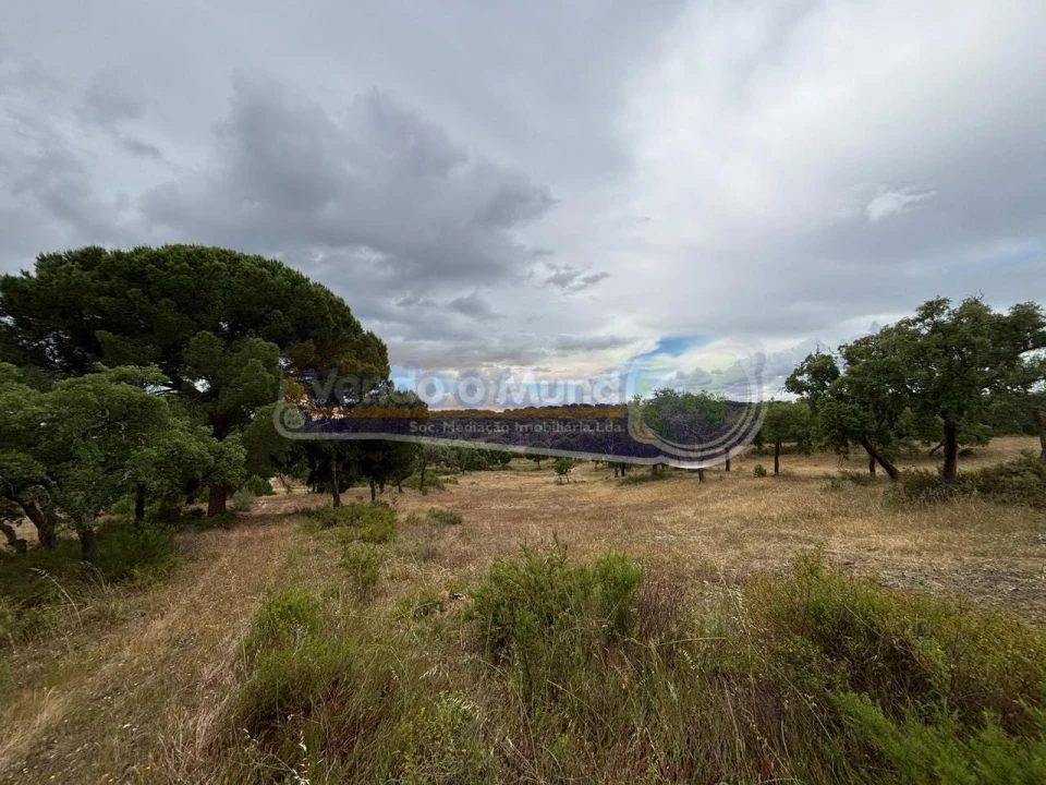 Terreno para Venda em Mora Foto 12