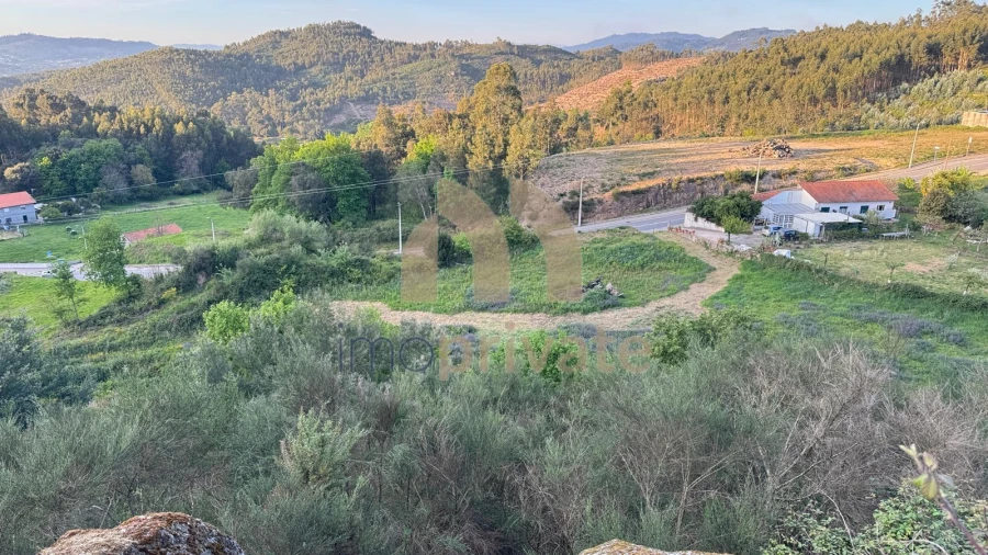 Quinta T3 para Venda em Vilarinho Foto 5