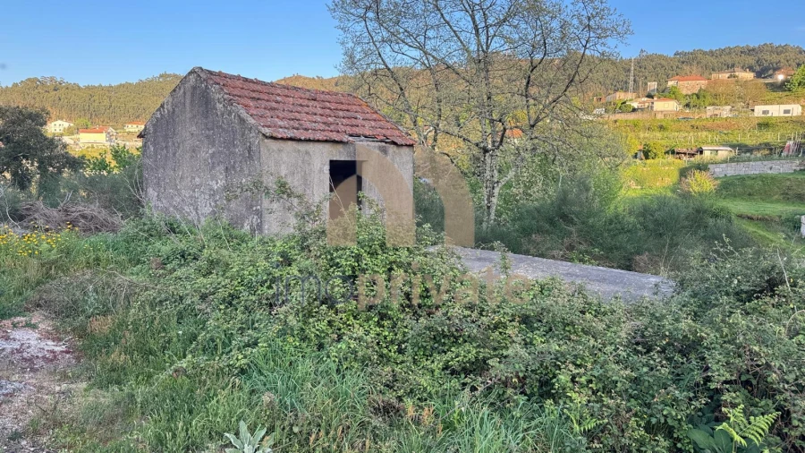 Quinta T3 para Venda em Vilarinho Foto 4