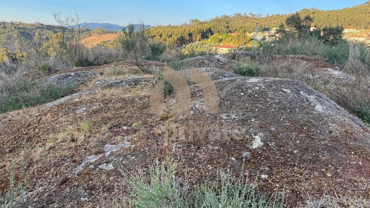 Quinta T3 para Venda em Vilarinho Foto 10