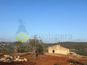 Terreno Misto para Venda em Paderne