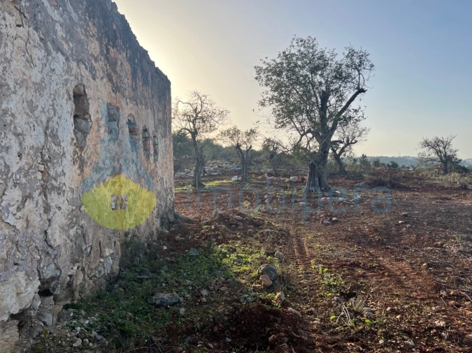 Terreno Misto para Venda em Paderne Foto 4