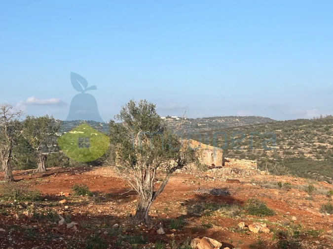 Terreno Misto para Venda em Paderne Foto 12