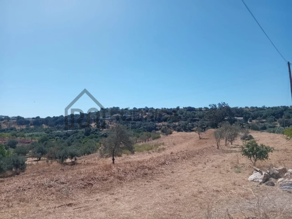 Moradia para Venda em Querença, Tôr e Benafim Foto 2