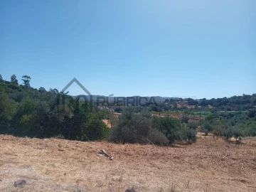 Moradia para Venda em Querença, Tôr e Benafim